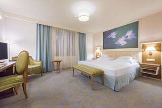 Отель Hotel Sonnenhof Сучава Двухместный номер Делюкс с 1 кроватью-2