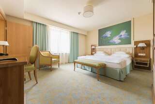 Отель Hotel Sonnenhof Сучава Двухместный номер Делюкс с 1 кроватью-4