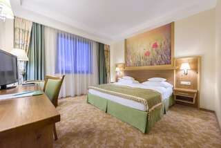 Отель Hotel Sonnenhof Сучава Двухместный номер с 1 кроватью-3
