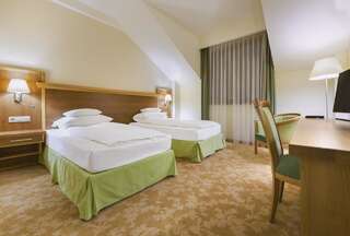 Отель Hotel Sonnenhof Сучава Двухместный номер с 2 отдельными кроватями-1