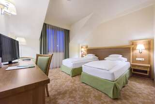 Отель Hotel Sonnenhof Сучава Двухместный номер с 2 отдельными кроватями-3